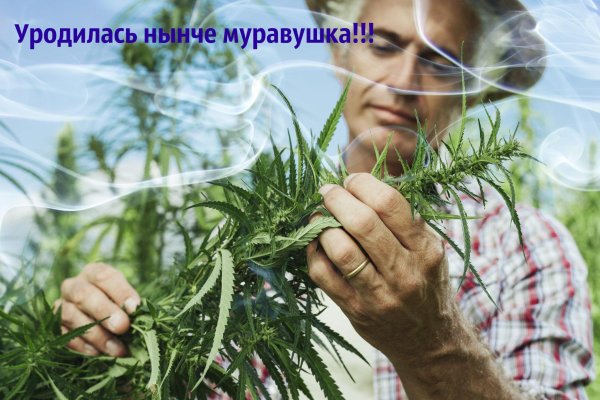 Что такое кракен магазин