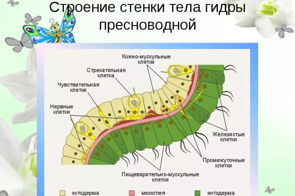 Ссылки тор браузер