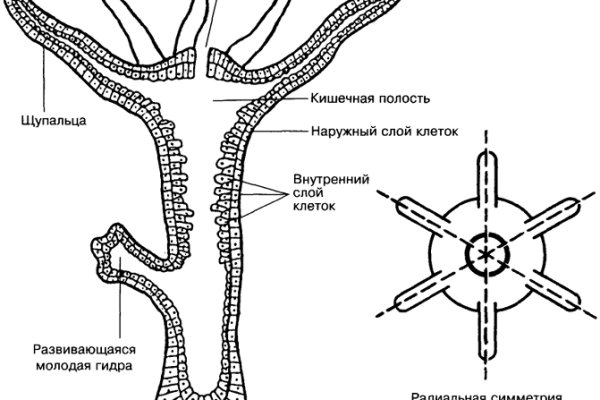 Магазины с наркотиками